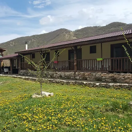 Vila Diva * Mikhalkovo